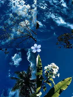 sky 