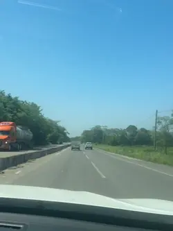 Caminos de la vid