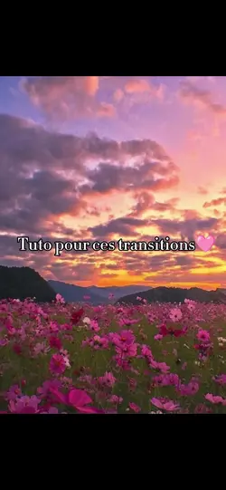 tuto transition 
