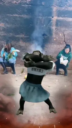 Funny Monkey Dance 