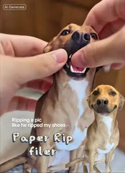 paper rip filter