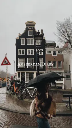 Amsterdam Diary 