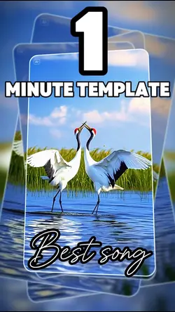 1 minute template 