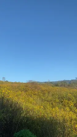 1 Video & Sound
