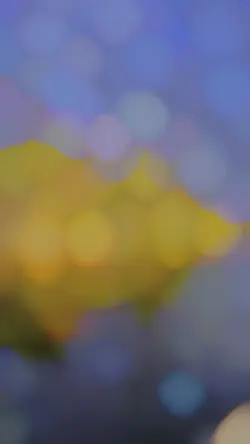 Slowmo filter 