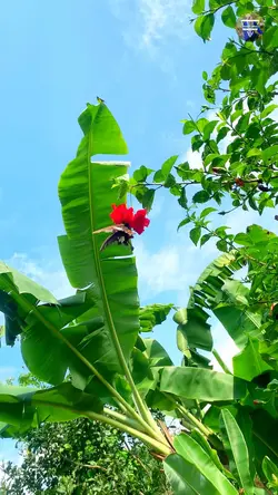 Chill quá trời