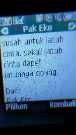 Sekali Jatuh Cinta