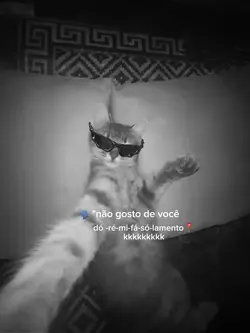 não gosto de você