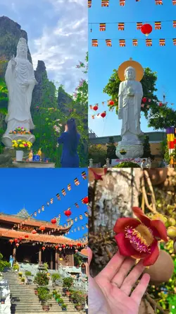 Nan giải , nhạc hoa