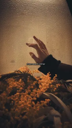 Cinematic Effect❤️