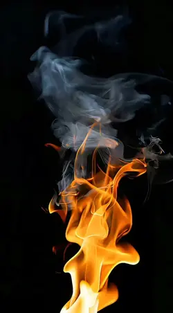 Wallpaper