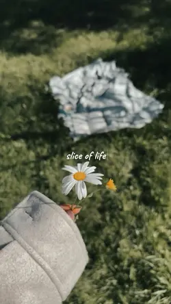 slice of life 