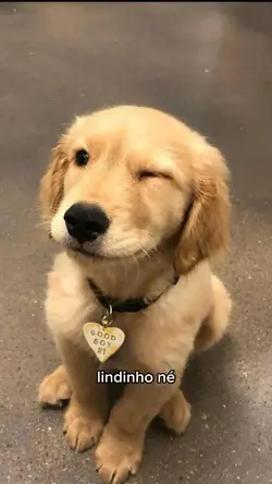 Lindinho né 