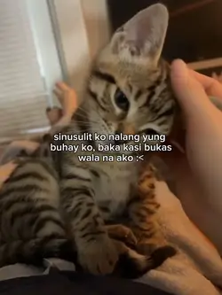 sinusulit nalang :<