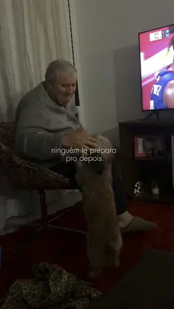 ninguem te prepara