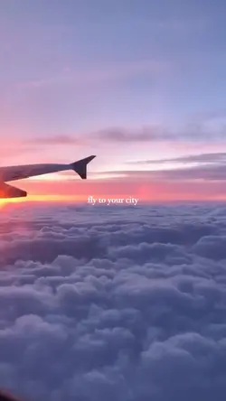 fly to tour city 