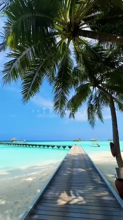 Travel record