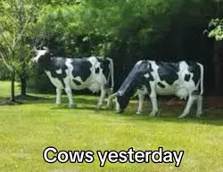 WAKE UP ITS 