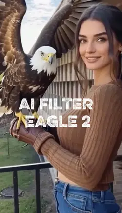 AI FILTER EAGLE 2 