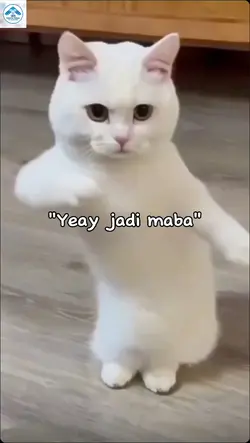 PERKENALAN MABA