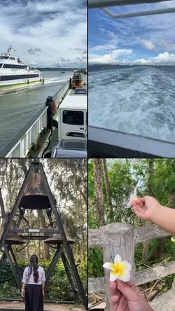 8 videos