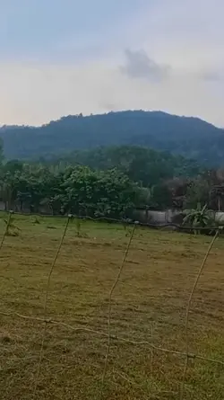 ธรรมชาติ
