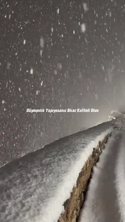 Düşmanlığında bir