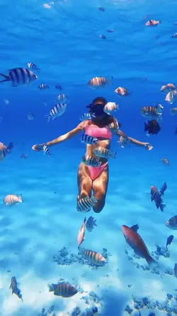 Vlog beach