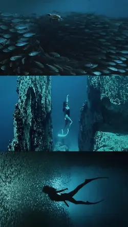 cinematic collage