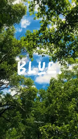 Blue Inst.