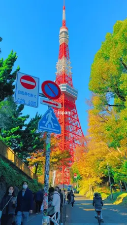 Japan View