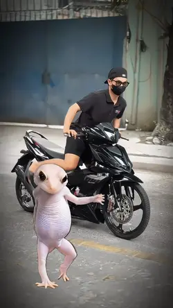 សុំតោងល្បី បងសត្វ ជញ្ចាក់😂💪