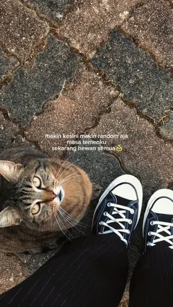 kata kata 