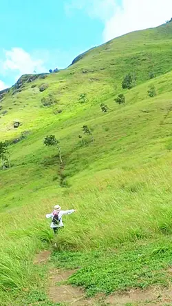 terus dilwale 
