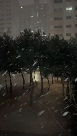 Merry Christmas🎄🎅🏻