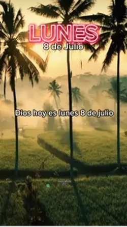 Lunes 8 de julio