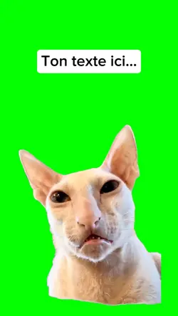 Chat bizarre