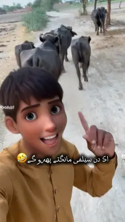 Self🤣