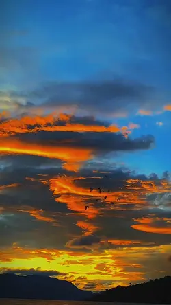 orange blue