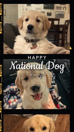 NATIONAL DOG DAY