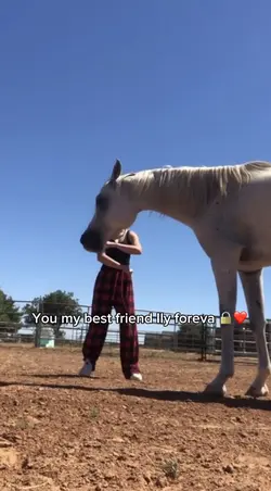 You ma best friend