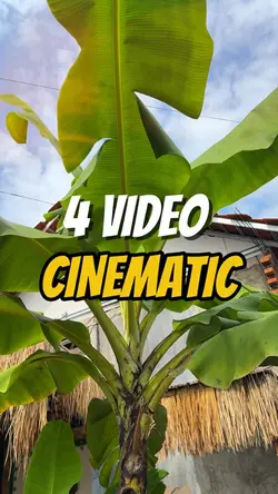 4 VIDEO CINEMATIC 