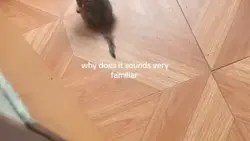 why does it sounds