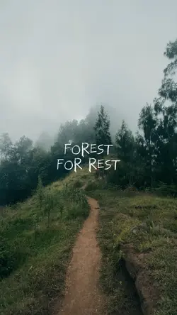 forest = for rest