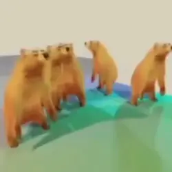 bears dancing