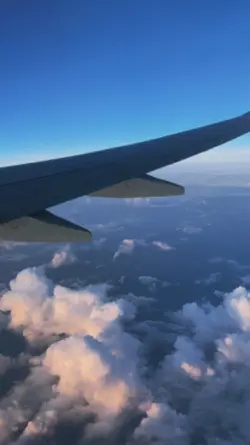 see you again
