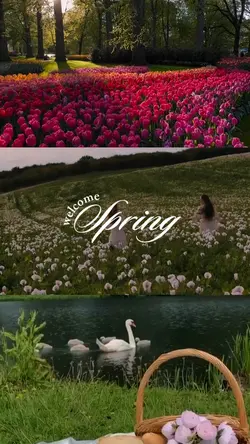 WELCOME SPRING
