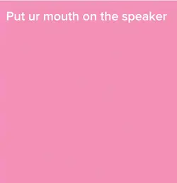 Speaker