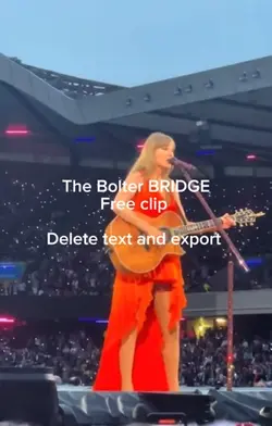 THE BOLTER BRIDGE