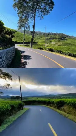2 video 1 collage